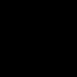 Meet your Posher, Violet